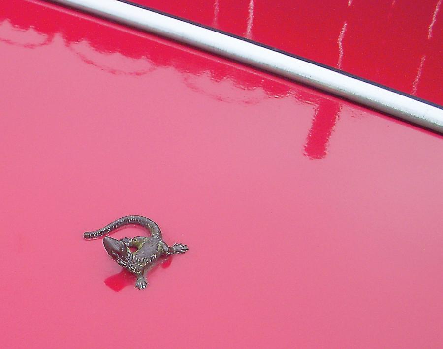  MG TD Roadster 1953 года  (фото 3 из 9)